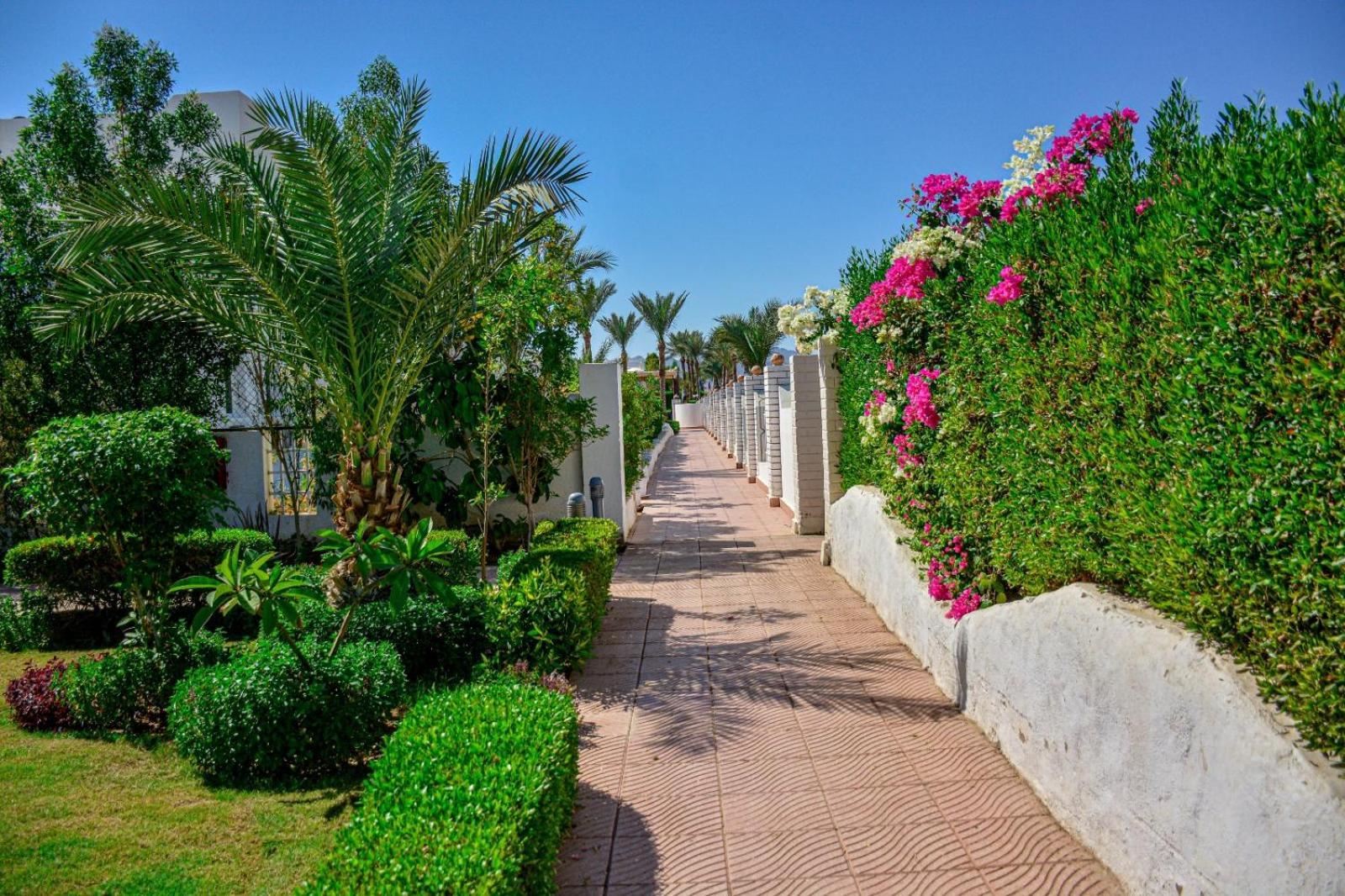 Desert View Sharm Hotel Buitenkant foto